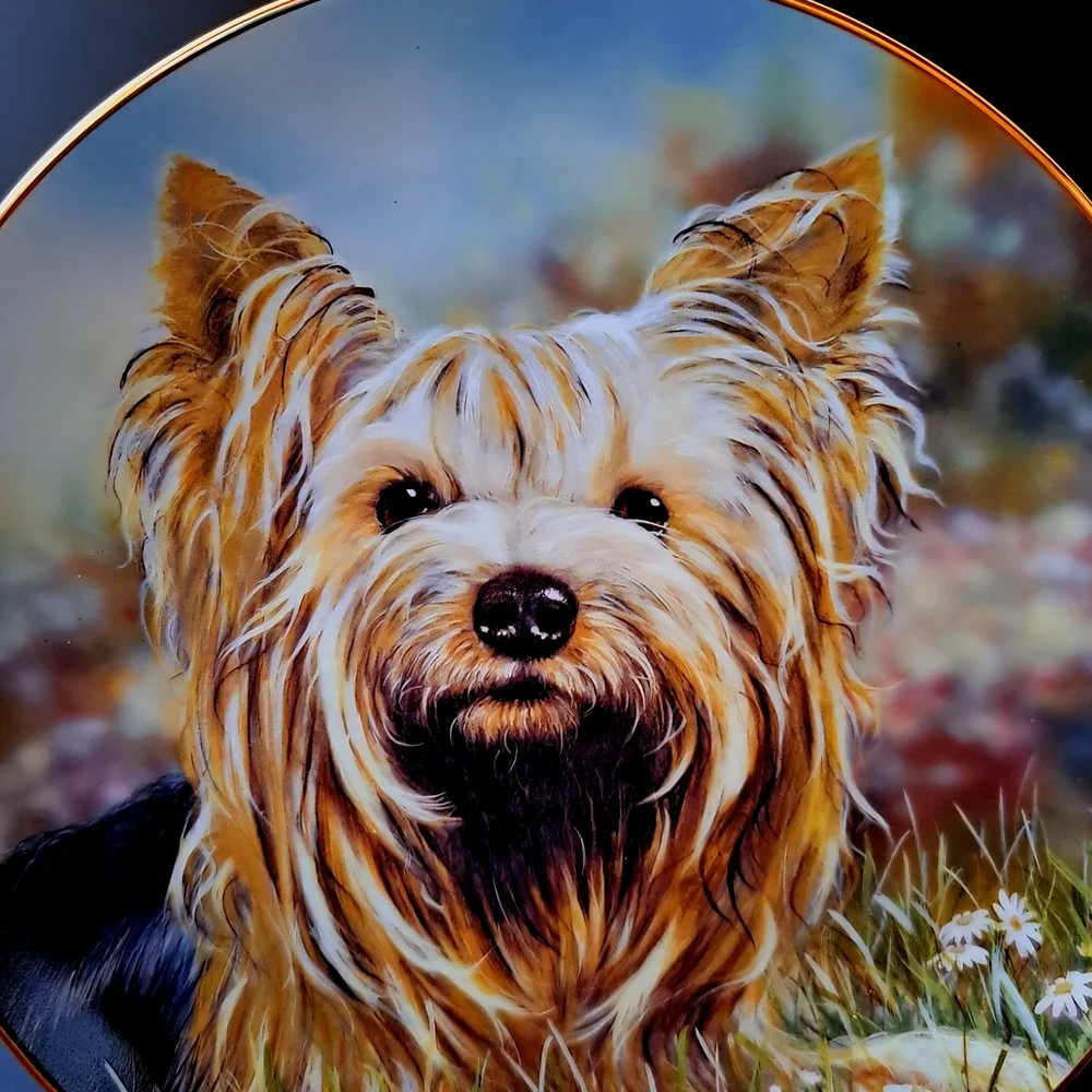 Danbury Mint Yorkshire Terriers Daisy Collection by Paul Doyle is an 8" Plate - Picture 3 of 4